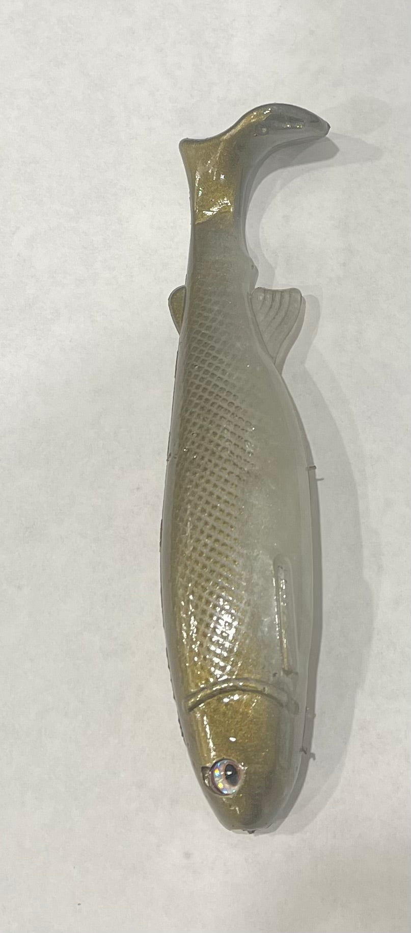 1pk Shiner 6 Golden Shiner – bottomdwellerbaits